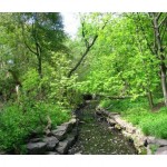 Walking paths
