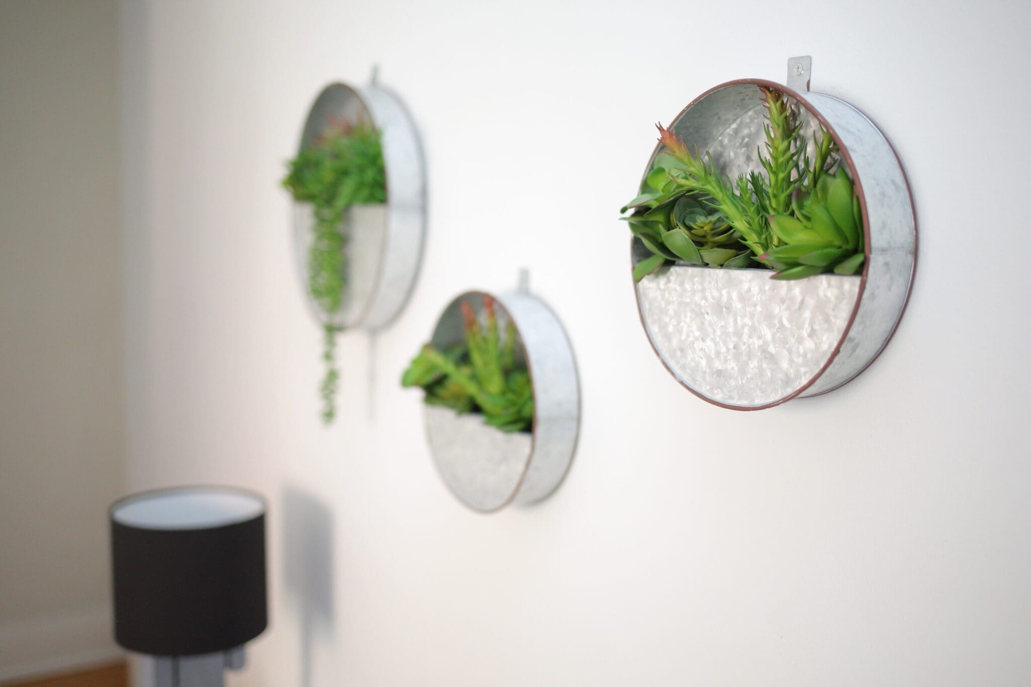 Dream Apartments In Toronto - ILAC