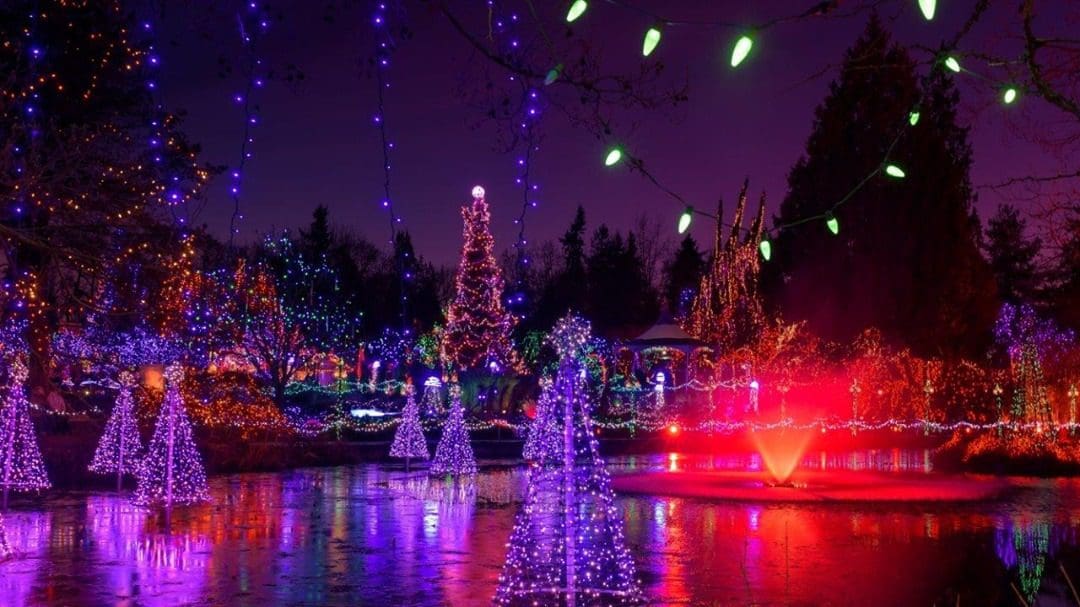 VANDUSEN Festive Lights ILAC
