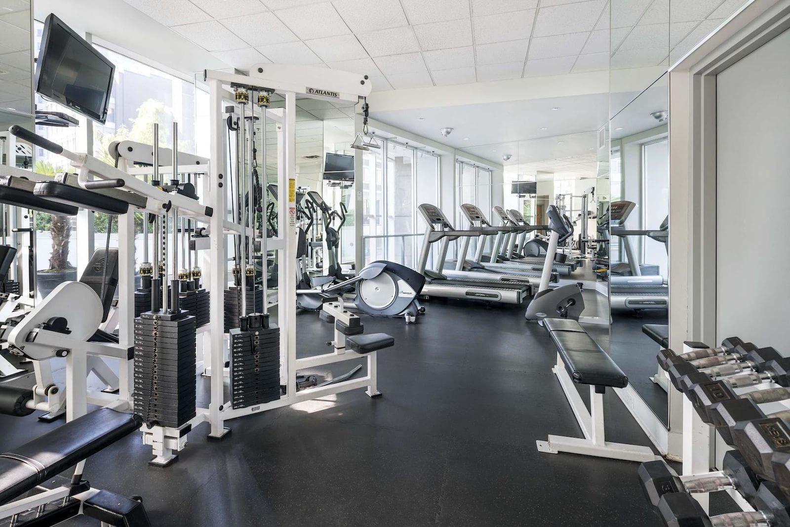 GYM HARRINGTON TOR
