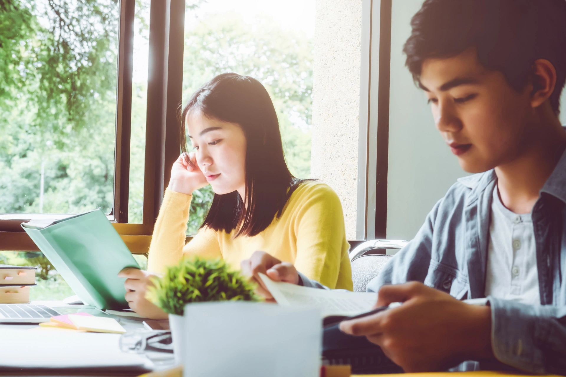  Two students reading and studying together at a desk